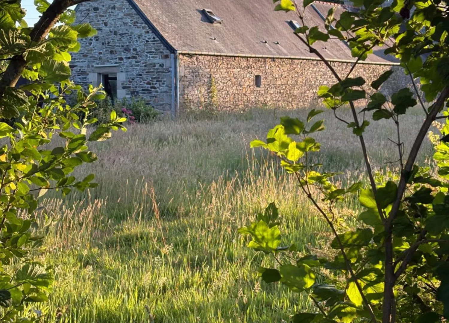Gites L'Appel De La Bretagne Gite Bleuenn Lannion Tatil Evi